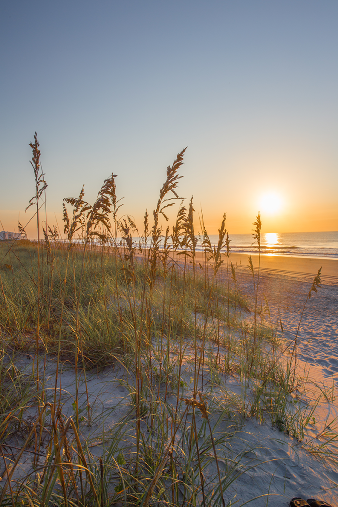 The Communities of the Grand Strand and Myrtle Beach area